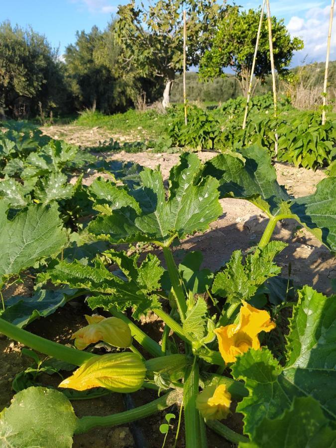 Myparadise-Farm Villa In The Centre Of South Crete Kalamaki  Exterior foto