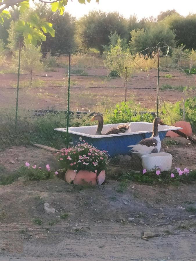 Myparadise-Farm Villa In The Centre Of South Crete Kalamaki  Exterior foto